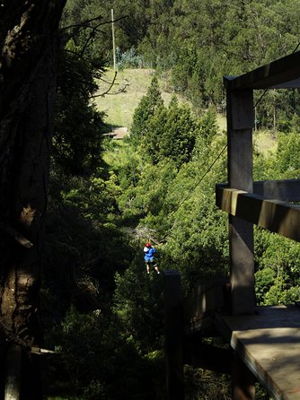 Haleakala 6 Line Zipline Adventure - What the $157.02 price buys you