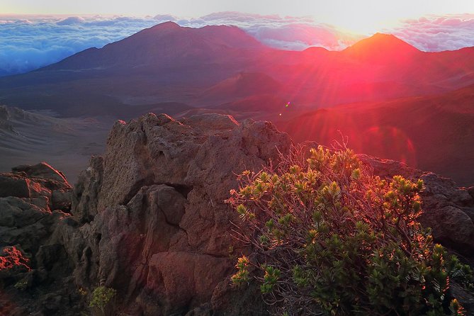 Haleakala Sunrise Tour with Breakfast and West Side Pickup - The pre-dawn drive to Haleakala