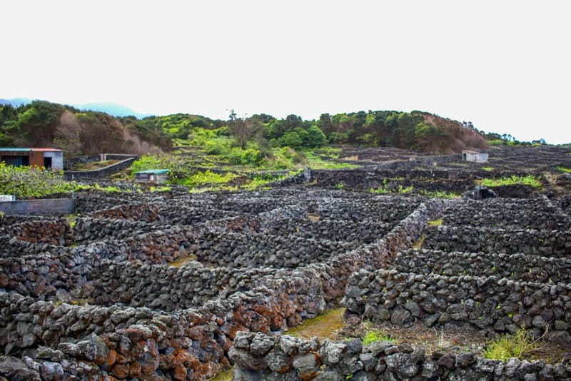 Half Day Tour - Algar do Carvão Lava Route - Gruta do Natal: walking through an ancient lava tube