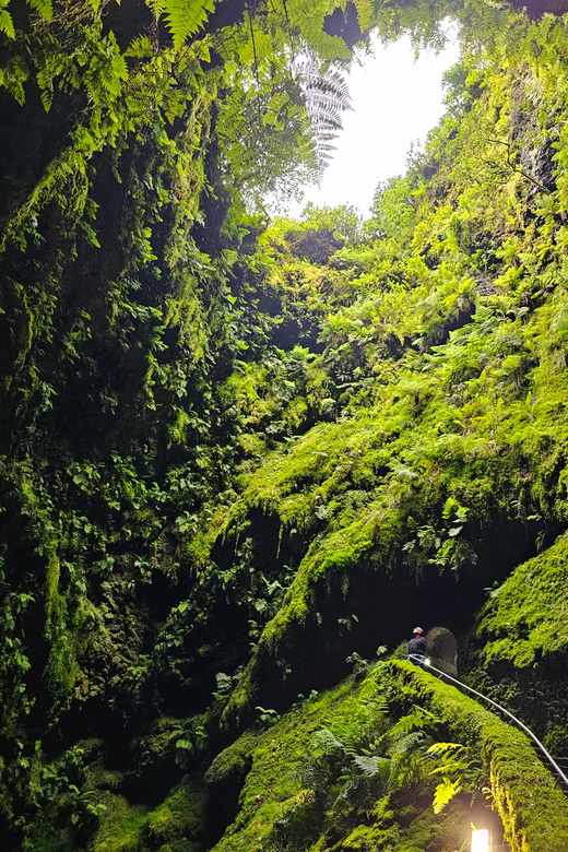 Half Day Tour - Algar do Carvão Lava Route - The guides can make the difference
