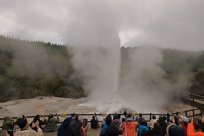 Half-Day Tour - Ex Rotorua: WAI-O-TAPU Thermal Wonderland - Two hours walking through Wai-O-Tapu