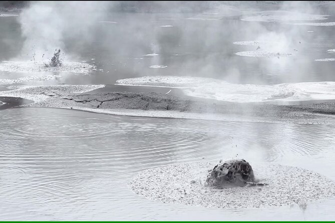 Half-Day Tour - Ex Rotorua: WAI-O-TAPU Thermal Wonderland - What the $107 price includes