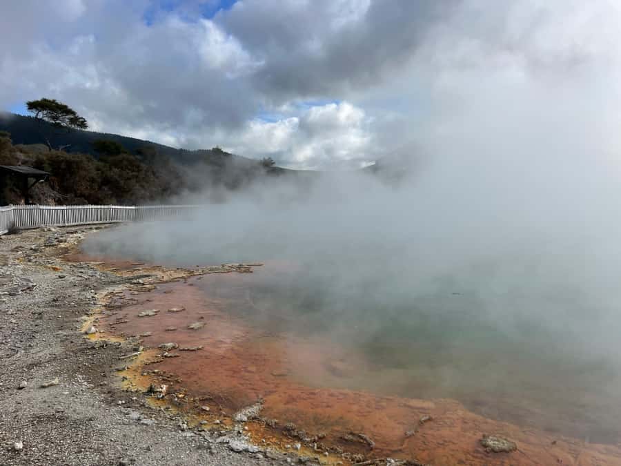 Half-Day Tour - Ex Rotorua: WAI-O-TAPU Thermal Wonderland - Booking details that matter