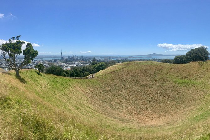 Half-Day Volcano Tour from Auckland - Why Auckland’s volcanoes make a smart morning tour