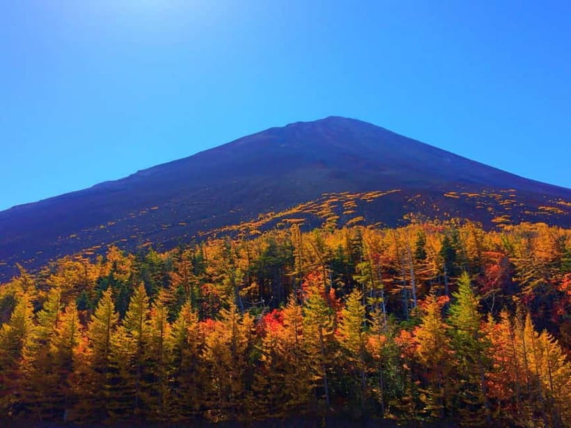 Halfway Up Mt,Fuji, Oshino Hakkai, Kawaguchiko from Tokyo - Lake Kawaguchi: one hour for lunch and nearby sights