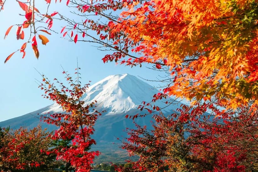 Halfway Up Mt,Fuji, Oshino Hakkai, Kawaguchiko from Tokyo - Mt. Fuji 5th Station: the main event at 2,300 meters
