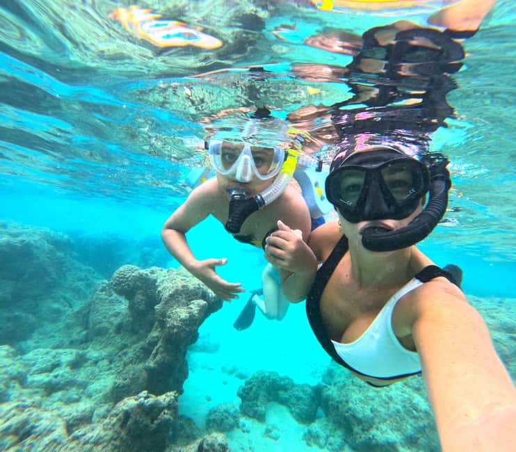 Hanauma Bay Guided Snorkel Tour with guaranteed entrance - The reef and marine life you may see