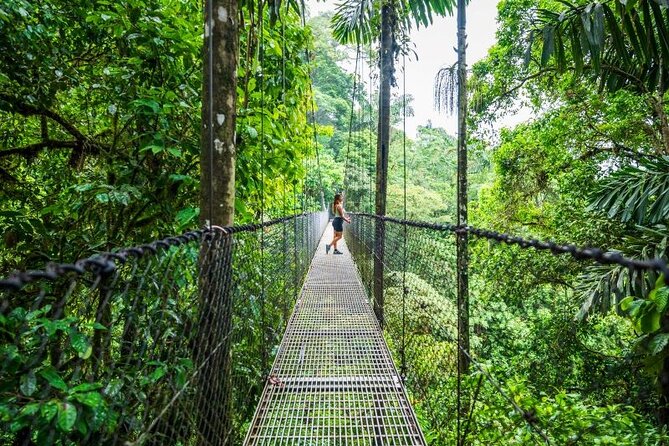 Hanging Bridges Walk in Arenal Volcano - Key things to know before you go