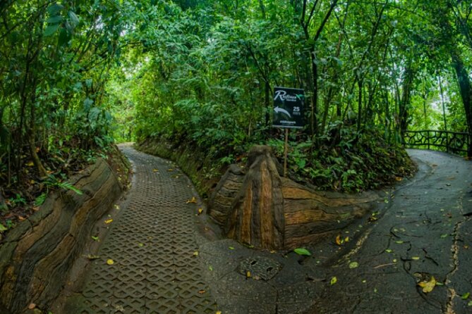 Hanging Bridges Walk in Arenal Volcano - Mistico Park puts you above the forest floor