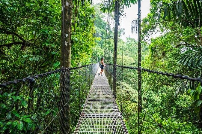Hanging Bridges Walk in Arenal Volcano - Why the family appeal is real, with a few limits
