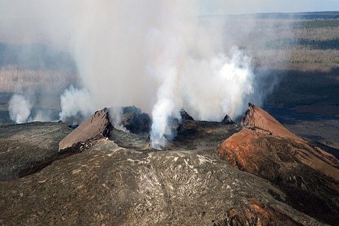 Hawaii Volcanoes National Park Experience Departing from Oahu - Black sand, palms, and turtles at Punaluʻu