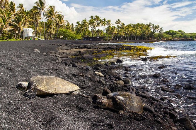 Hawaii Volcanoes National Park Experience from the Big Island - Why this 10-hour Big Island trip works
