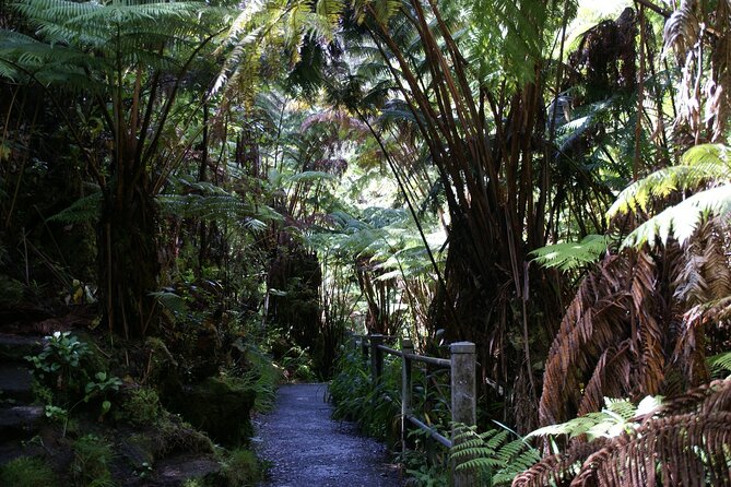 Hawaii Volcanoes National Park Experience from the Big Island - Punaluʻu Bake Shop and the lunch decision