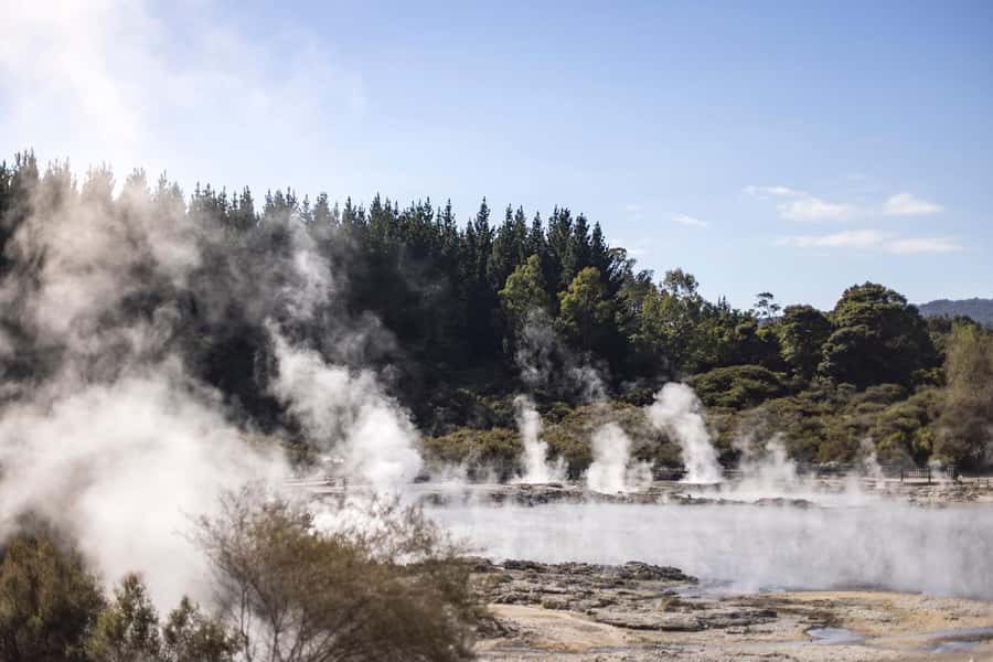 HELL'S GATE Mud Spa, Rotorua - Group Day Tour Ex Auckland - The big draw: geothermal mud and a warm soak