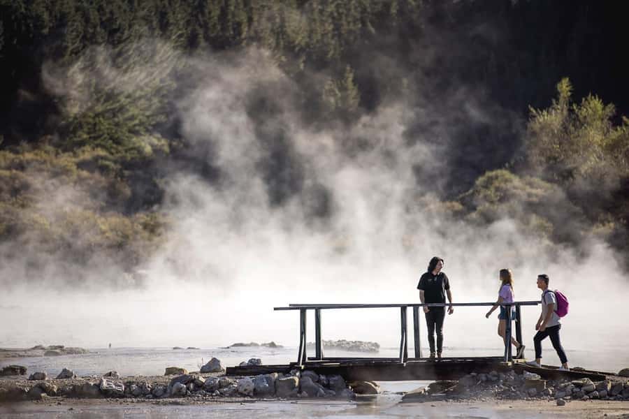 HELL'S GATE Mud Spa, Rotorua - Group Day Tour Ex Auckland - Walking through Hell’s Gate Geothermal Reserve