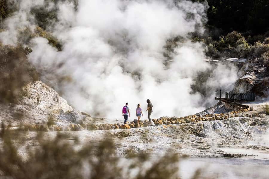 HELL'S GATE Mud Spa, Rotorua - Group Day Tour Ex Auckland - The mud bath and sulphur spa