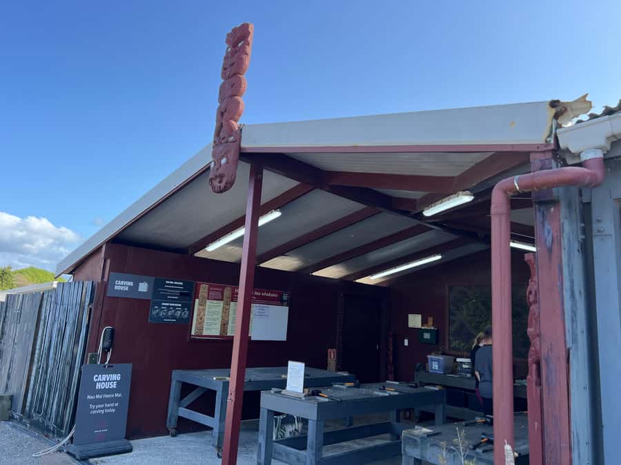 HELL'S GATE Mud Spa, Rotorua - Group Day Tour Ex Auckland - Lunch before the 1:30 PM shuttle