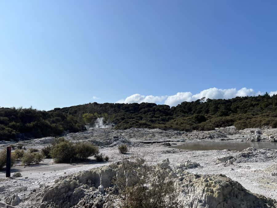 HELL'S GATE Mud Spa, Rotorua - Group Day Tour Ex Auckland - Is the $298 price fair?