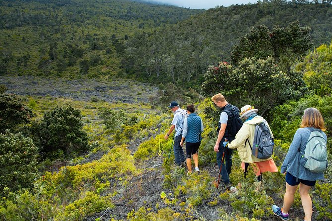 Hidden Craters Hike of Kona - How Hard Is the Hualalai Hike?