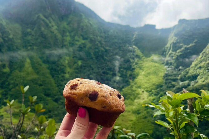 Hike St. Kitts: Highest peak Mount Liamuiga Volcano - The Steep Middle Section Requires Patience
