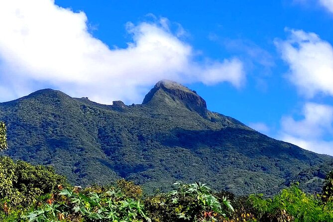 Hike St. Kitts: Highest peak Mount Liamuiga Volcano - Reaching the Crater View at About 3,100 Feet