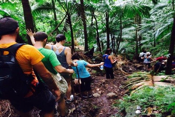 Hiking Mount Liamuiga Volcano in St Kitts - Mount Liamuiga at a glance