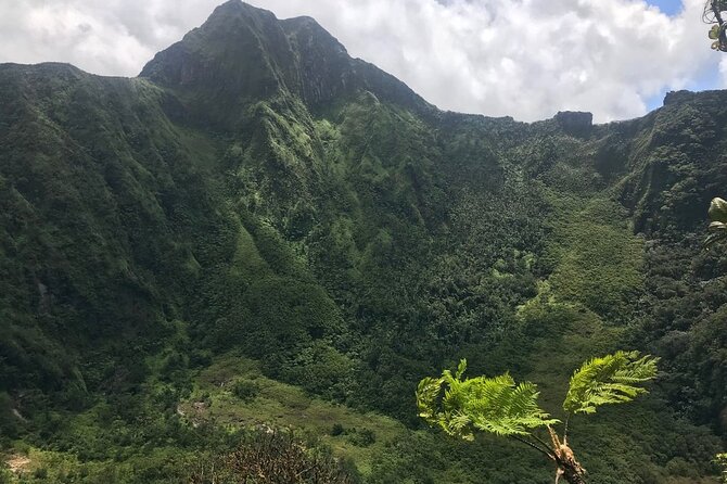 Hiking Mount Liamuiga Volcano in St Kitts - What the trail is really like