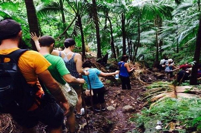 Hiking Mount Liamuiga Volcano in St Kitts - Is $100 a fair price?