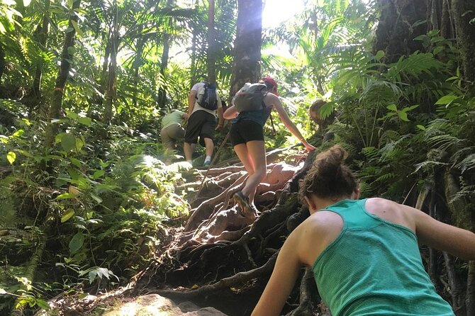 Hiking Mount Liamuiga Volcano in St Kitts - What to wear and bring