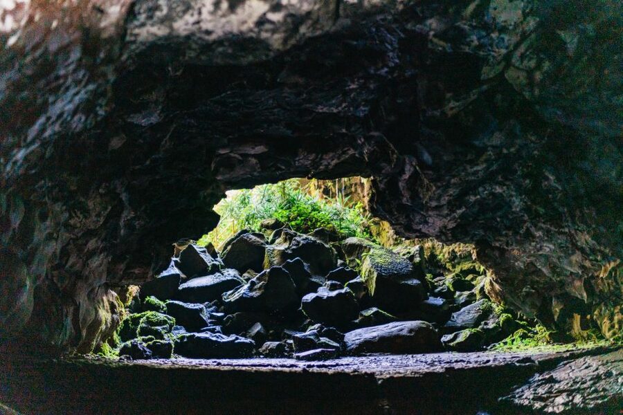 Hilo: Elite Volcano Hike - Should you book the Elite Volcano Hike?