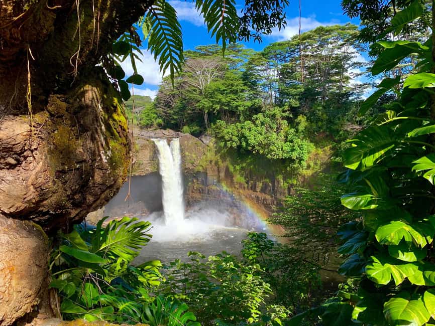 Hilo: Hawaii Volcanoes National Park and Hilo Highlights … - The 45-minute road to Hawaii Volcanoes National Park