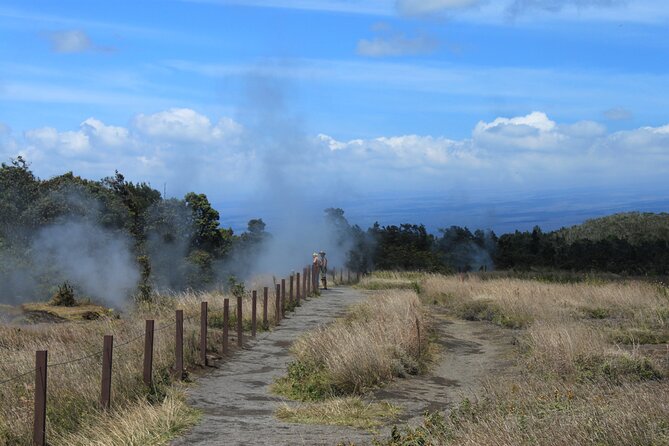 Hilo Shore Excursion: Active Volcano, Lava Tube, Waterfall and Gardens - Walking through Nahuku, the Thurston Lava Tube