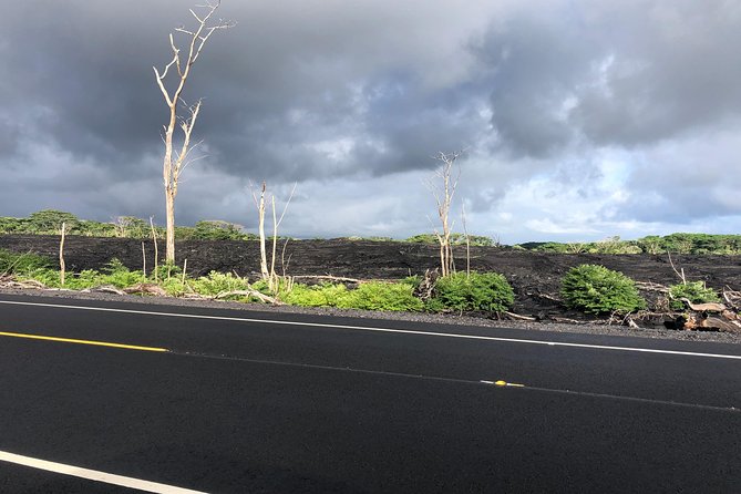 Hilo Shore Excursion: Volcano Safari Lava Caves & Black Sand - A local lunch stop instead of a provided meal