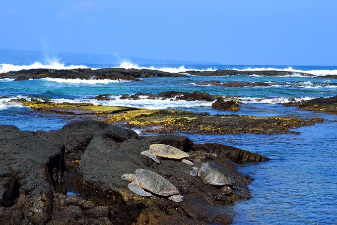 Hilo Shore Excursion: Volcanoes National Park & Black Sand Beach - Hilo Port, town sights, and the changing schedule