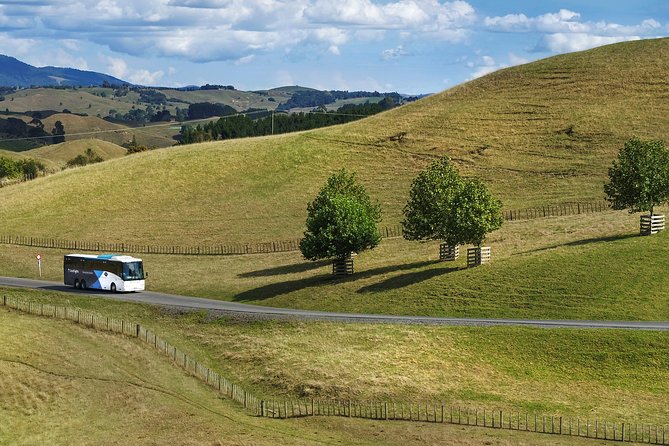 Hobbiton Day Tour from Rotorua with lunch at Hobbiton - Why the Rotorua departure makes sense