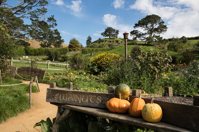 Hobbiton Day Tour from Rotorua with lunch at Hobbiton - What the tour gets right
