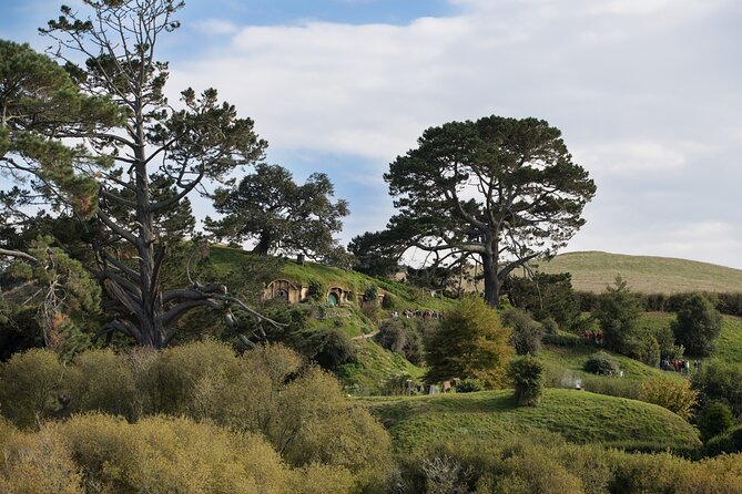 Hobbiton Day Tour from Rotorua with lunch at Hobbiton - Who should book this Rotorua day tour