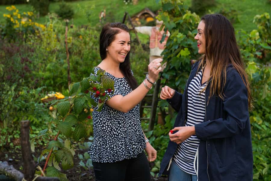 Hobbiton Movie Set & Rotorua Premium Day Tour from Auckland - Kiwi birds and Māori arts at Te Puia