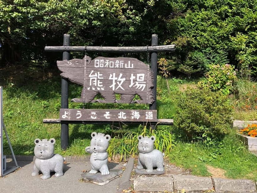 Hokkaido Tour:Sapporo to Noboribetsu, Lake Toya,Ice Festival - Shikotsu Lake and the winter ice museum