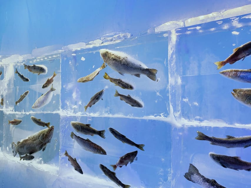 Hokkaido Tour:Sapporo to Noboribetsu, Lake Toya,Ice Festival - Who should book this Hokkaido day trip?