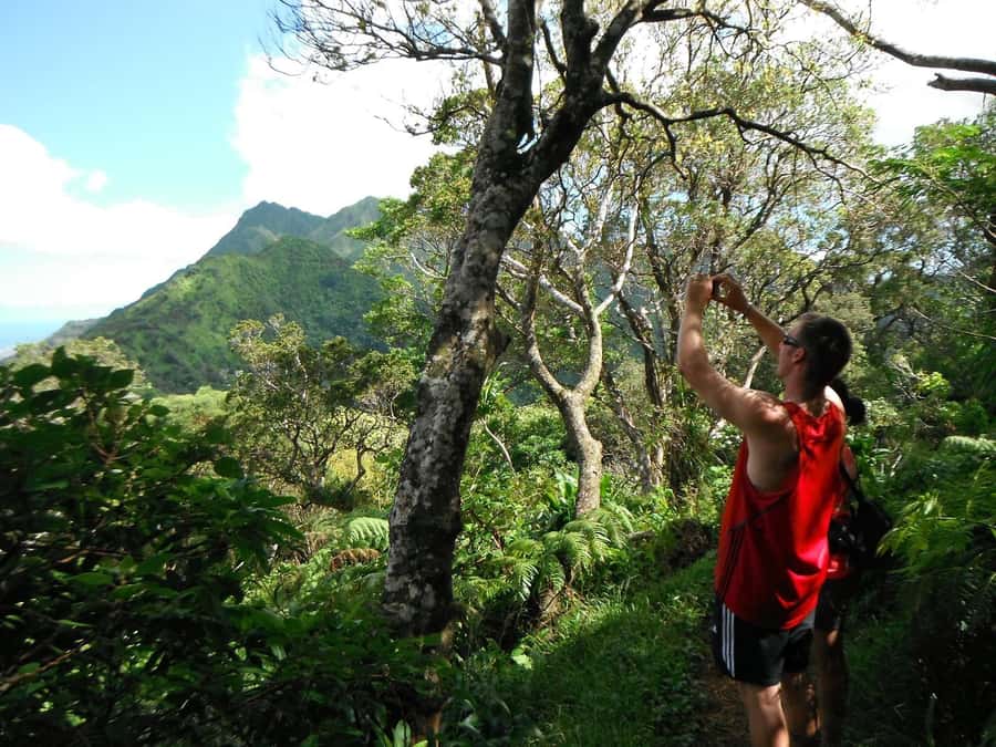 Honolulu: Hawaiian Volcanic Rainforest Hike - Diamond Head, Honolulu, and the Pacific