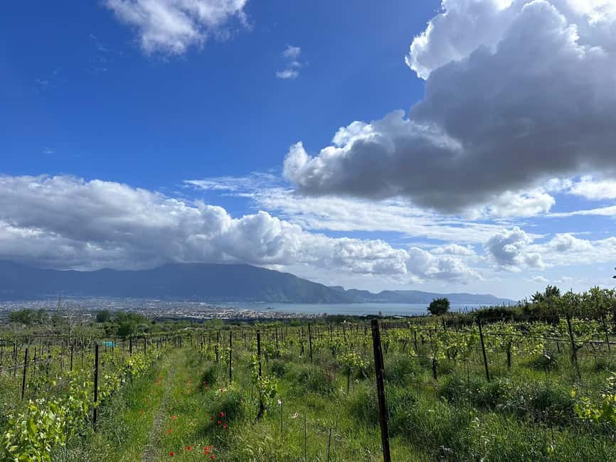 Horseback Ride on Mt. Vesuvius - Views Toward Naples, Sorrento, and the Amalfi Coast