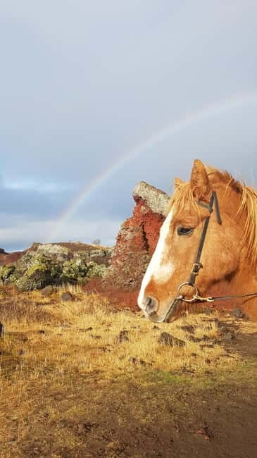 Iceland: Volcanic Landscape Horse Riding Tour - Key points at a glance