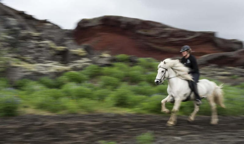 Iceland: Volcanic Landscape Horse Riding Tour - Meeting Iceland’s compact, sure-footed horses