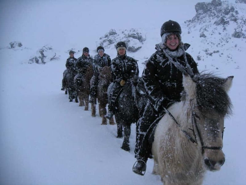 Iceland: Volcanic Landscape Horse Riding Tour - Trying the tölt, Iceland’s smooth specialty