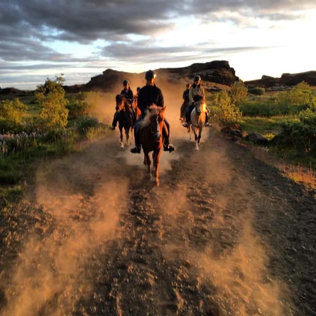 Iceland: Volcanic Landscape Horse Riding Tour - Who will enjoy this ride most