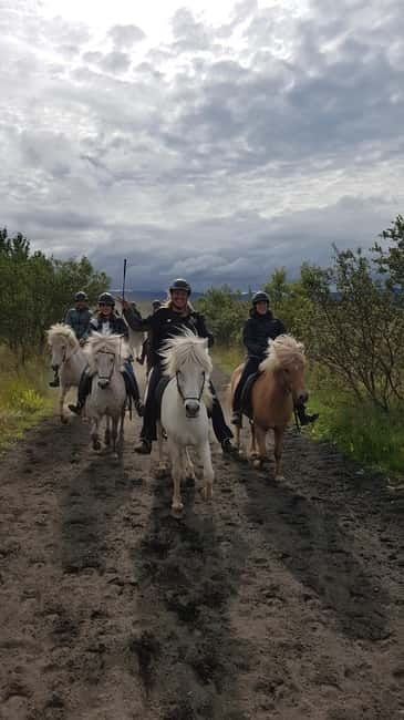 Iceland: Volcanic Landscape Horse Riding Tour - A short introduction before you ride out