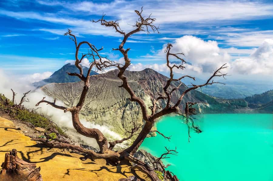 Ijen Crater Blue Fire Night Hike - Guides who keep the hard parts manageable