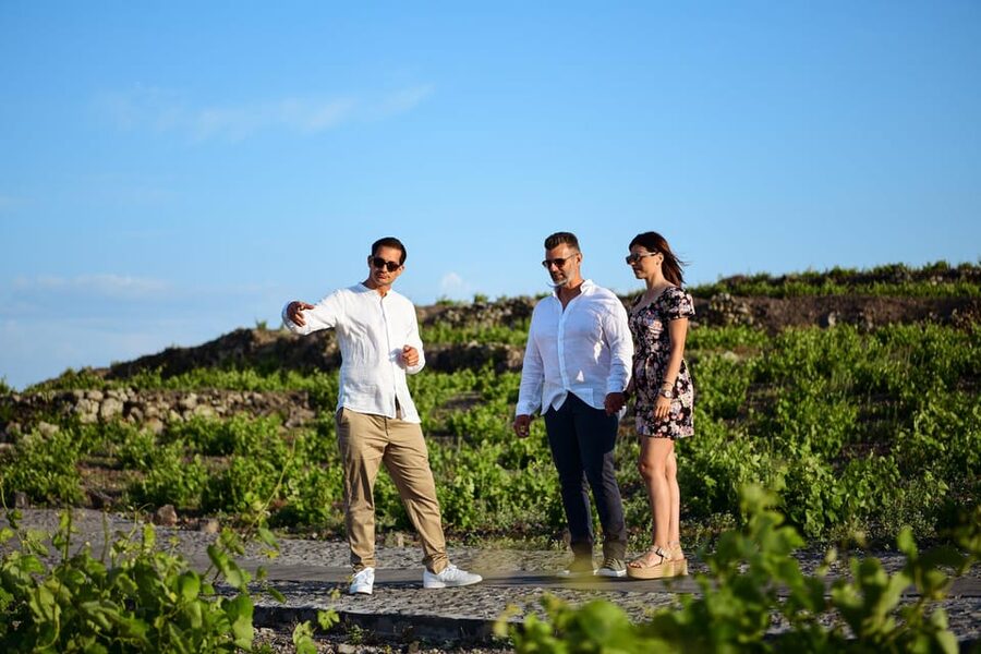 Imerovigli: Premium Wine Tasting with Caldera and Sea Views - The private cellar and what happens after the tasting