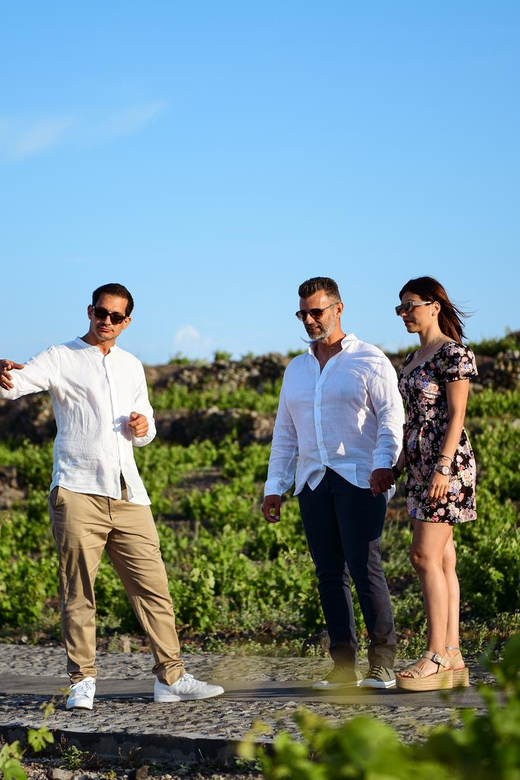 Imerovigli: Premium Wine Tasting with Caldera and Sea Views - Practical tips before you reserve